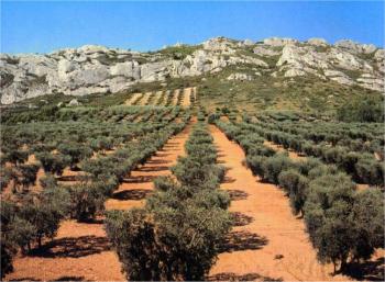Circuit: La route des vins AOC CÃ´tes du Ventoux