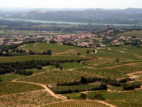 Jour 4 : Châteauneuf du Pape <