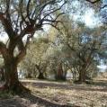 tour-du-village-par-les-claux-1-km-40-minutes-facile