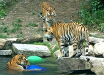 parc zoologique et botanique de mulhouse