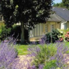 pierre-et-vacances-village-club-normandy-garden branville