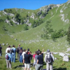 camping-le-fleutron divonne-les-bains