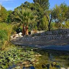 jardins-botaniques-borely marseille