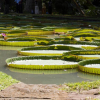 musee-du-canal-du-midi revel
