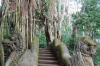 la-foret-des-singes rocamadour