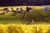 route-des-vins-d-alsace thann