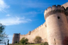 fort-saint-andre-de-villeneuve-les-avignon villeneuve-les-avignon