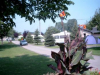 camping-ferme-tuileries rhinau