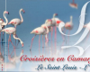 croisieres-en-camargue aigues-mortes
