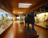 musee-africain-de-l-ile-d-aix ile-d-aix