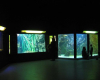 aquarium-de-lyon la-mulatiere
