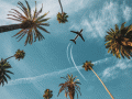 comment-organiser-un-voyage