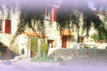 mas-flores-de-llum los-masos