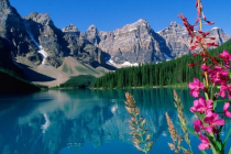 le-relais-du-leman messery