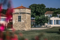 ternelia-la-martiere saint-pierre-d-oleron