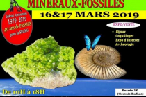 gohellium2019-18eme-bourse-mineraux-fossiles