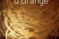 les-choregies-d-orange