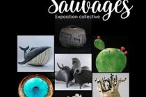 exposition-terres-sauvages