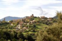 arbellara