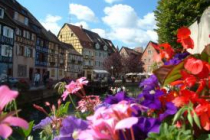 colmar