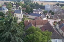 courgeon