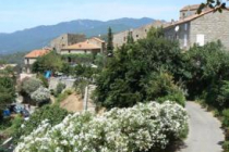 fozzano