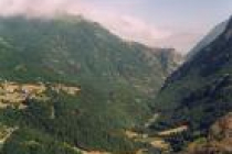 gedre