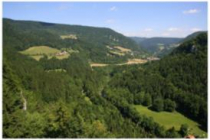 goumois