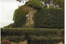 moulins-engilbert