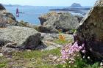 ouessant