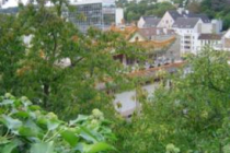 sevres