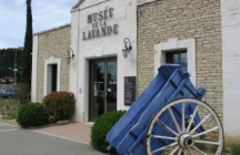 musee-de-la-lavande cabrieres-d-avignon
