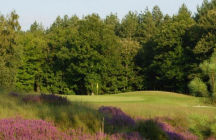 golf-d-aisses la-ferte-saint-aubin