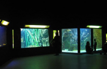 aquarium-de-lyon la-mulatiere