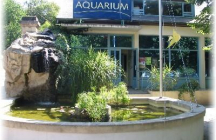 aquarium-de-loudun loudun