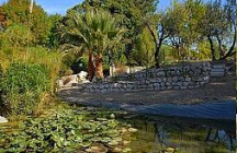 jardins-botaniques-borely marseille