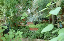 parc-explorarome montegut-lauragais