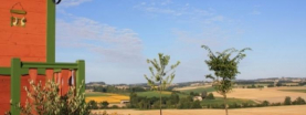 domaine-des-cadets-de-gascogne pauilhac