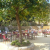 hippopotamus antibes