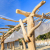 holiday-green frejus