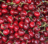 ecomusee-du-pays-de-la-cerise fougerolles