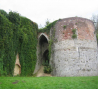 musee-de-france-roger-rodiere montreuil