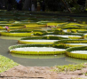 musee-du-canal-du-midi revel