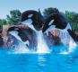 Marineland