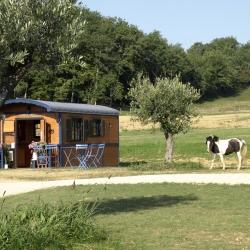 Roulotte-gîte avec accès pour personnes à mobilité réduite pour 2 à 3 personnes