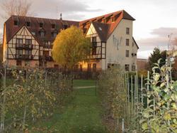 hotel-les-alizes lipsheim