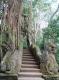 la-foret-des-singes rocamadour