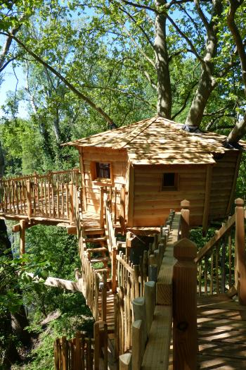 Cabane dans les arbres