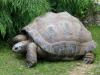 zooparc-de-beauval saint-aignan