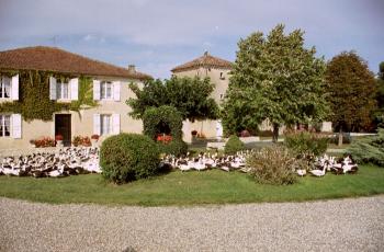 terre-blanche saint-puy terre-blanche saint-puy